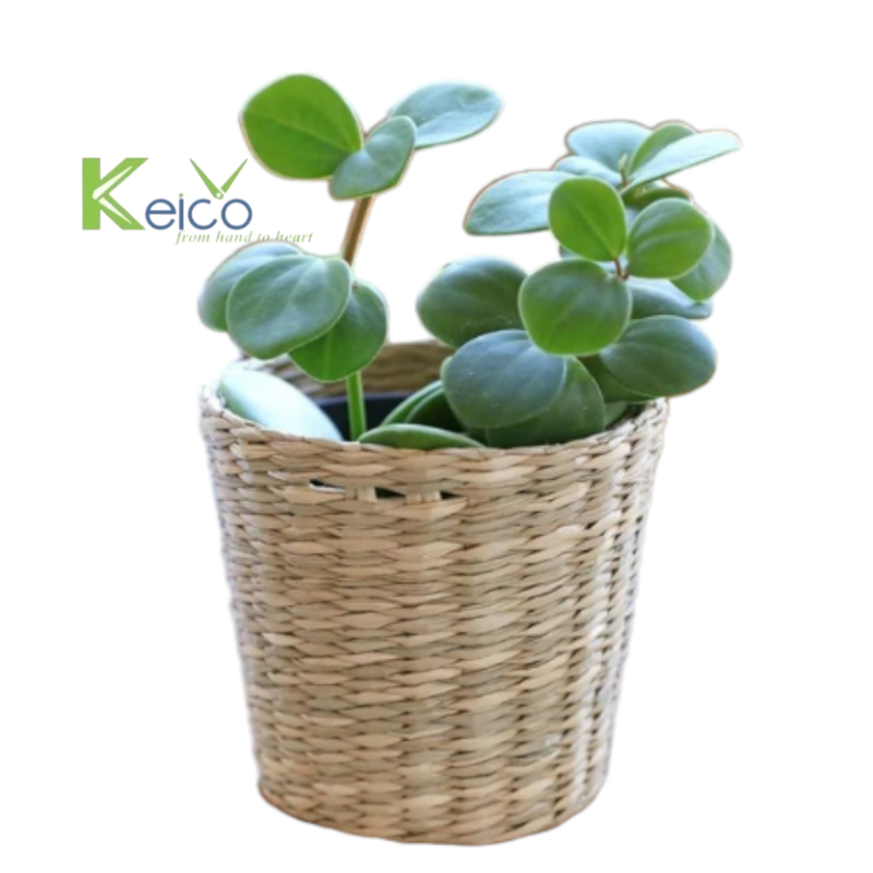 Keico | Vietnam Rattan Lampshades & Woven Basket Manufacturer