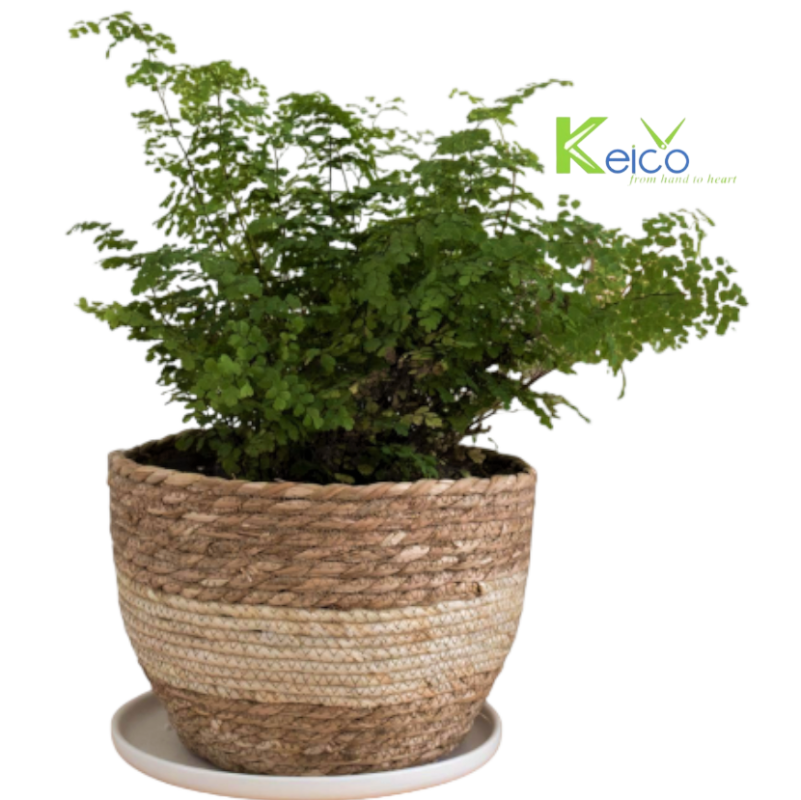 Vietnam rattan and bamboo factory – rattan pendant light and rattan furniture