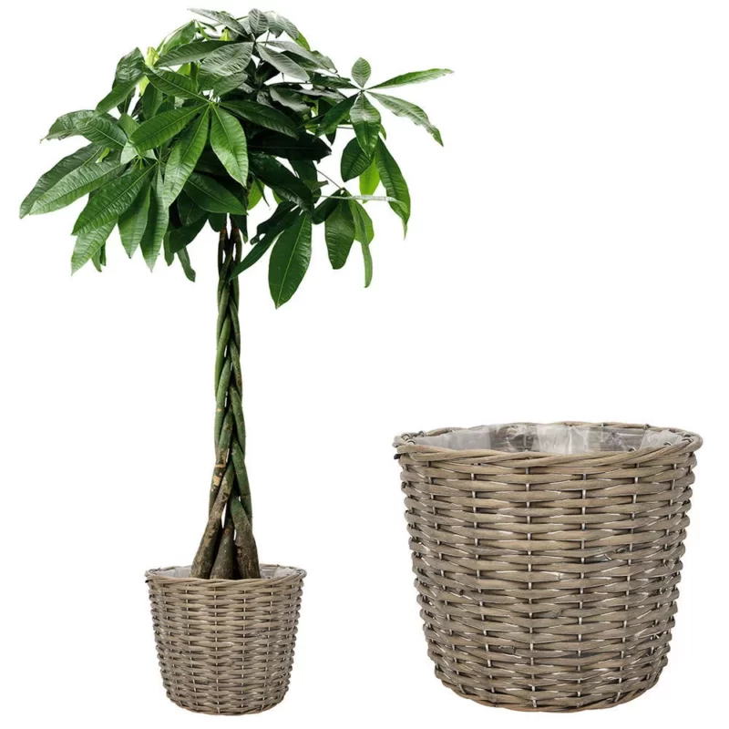 Vietnam rattan and bamboo factory – rattan pendant light and rattan furniture
