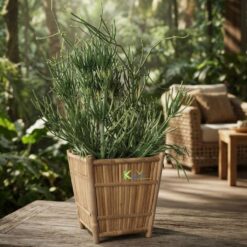 Alternative view of Natural Bamboo Planter – Rustic, Eco-Friendly Beauty for Every Space